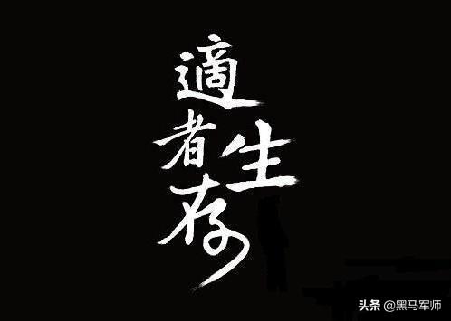 中国股市：散户都在追寻自由，但是顶级交易高