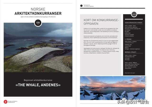 BIG惜败！再牛的方案也比不过一头鲸