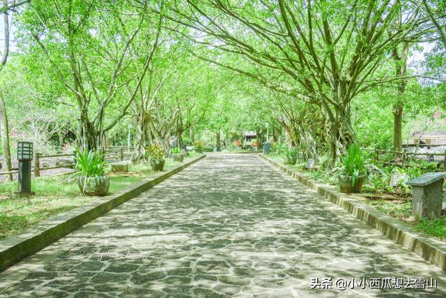 世界上保存最完整的火山群，拥有40多座火山，竟然藏在海南海口