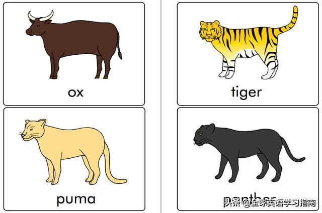 图片[13]-113张图让你记住所有动物类英语单词，分类汇总，建议收藏起来-笑傲英语网