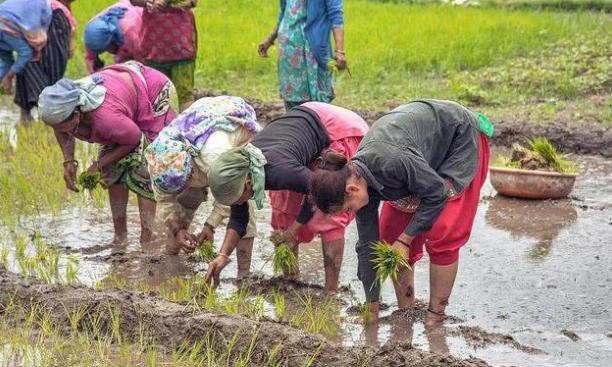 \"地不种，房空着，车放着\"农村这三个现
