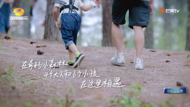 《奇妙小森林》，可爱有余清新不足