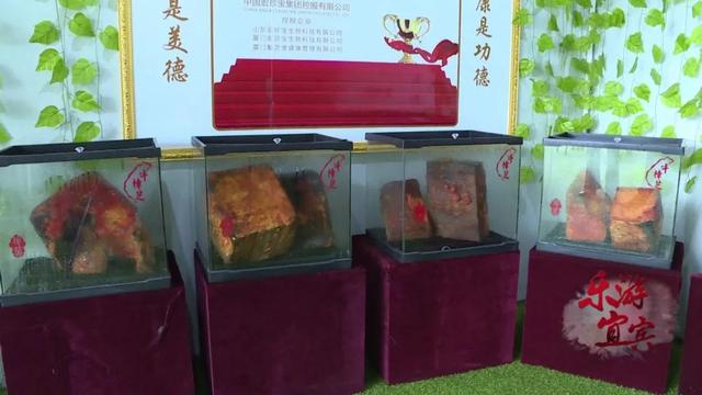 獨一無二！ 只有台灣才有的藥材，宜賓這家山莊無土培植了超多…