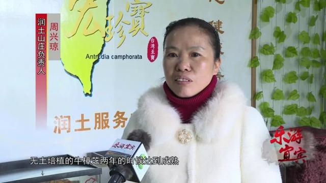 獨一無二！ 只有台灣才有的藥材，宜賓這家山莊無土培植了超多…