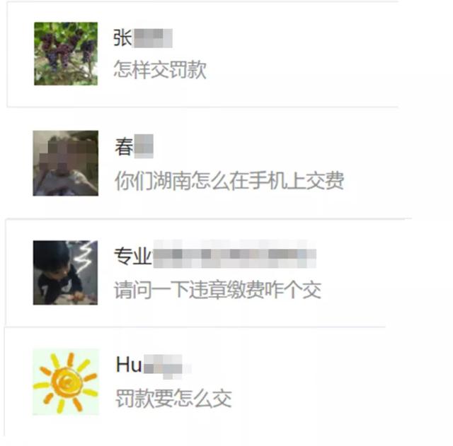 湖南交通违章处理