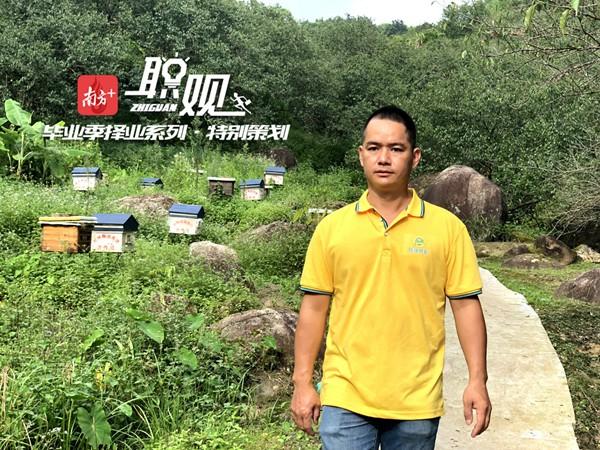 汕尾青年返乡创业变“养蜂大王”：蜜蜂虐他千百遍，他却待蜂如初恋