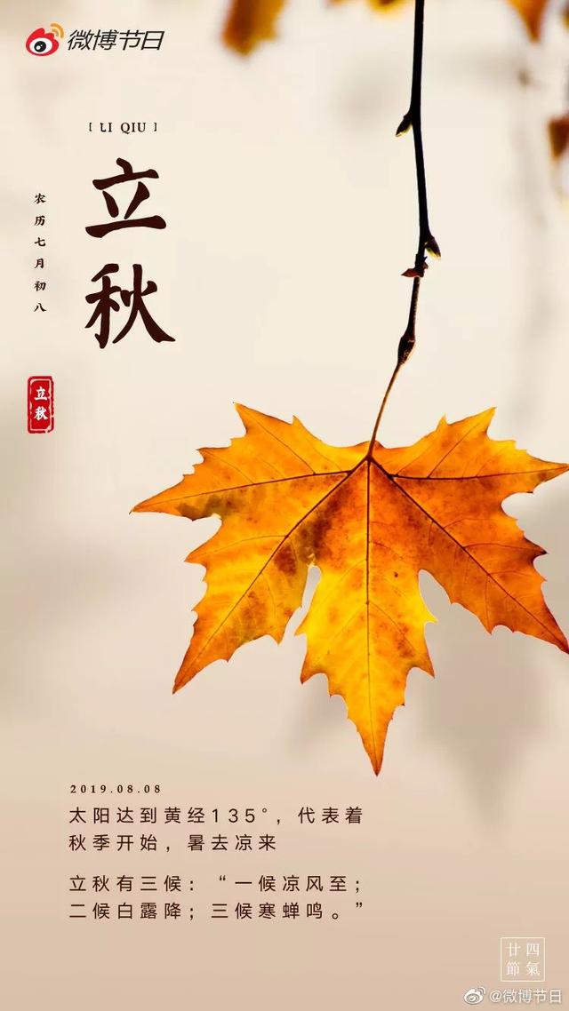 立秋优秀品牌借势合集，“膘厚”的人生不需要解释