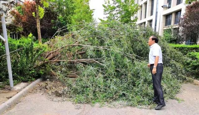 济南新材料产业各部门积极参与卫生大扫除活动