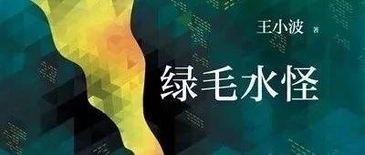 绿毛水怪讲的是什么
