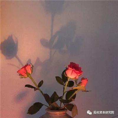 对赌条款的实践形态及注意事项