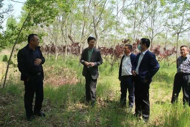 陈西武到北郊林场调研