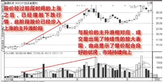 北大女博士罕见发声：如果有50万资金，高分红的中石化和跌剩零头的中石油，哪个更值得抄底？答案意料之外