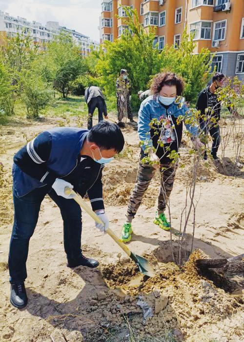 小区内清荒地拆违建 补种添绿