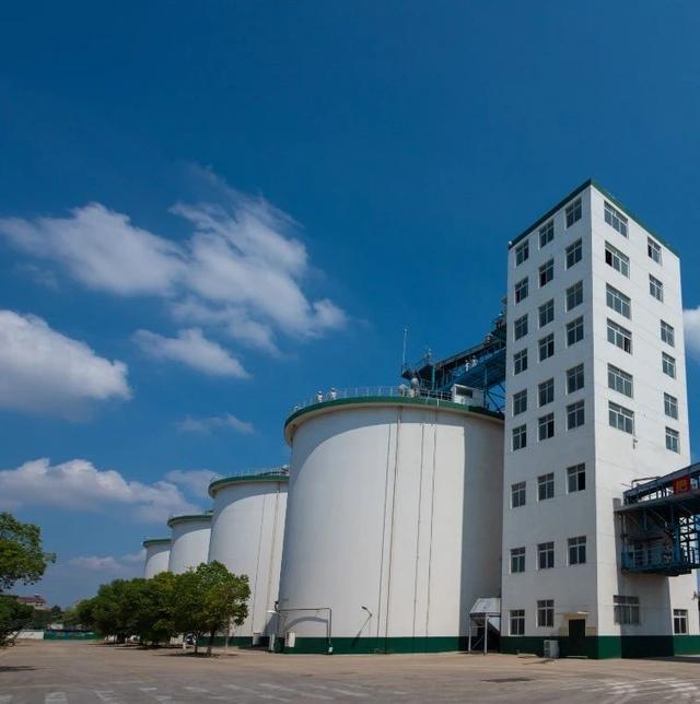 经济日报丨管好丰盈粮仓 端牢中国饭碗