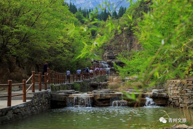 夏天来青州，可以干些啥？