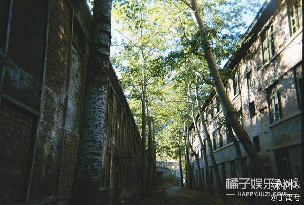 翻车■丁禹兮端水人设翻车，亲粉丝祝他早日糊？