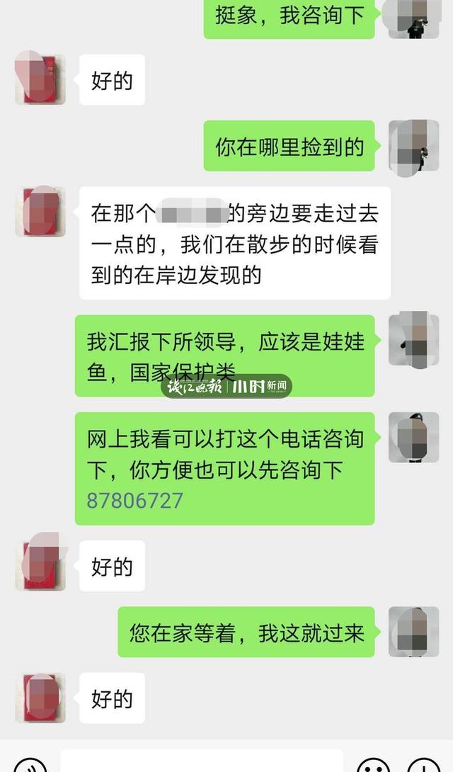 “我捡到一条鱼，怀疑是娃娃鱼”今早杭城一大