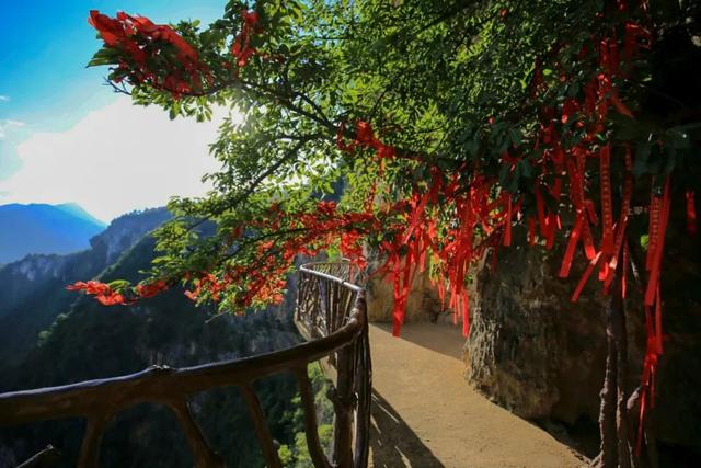 整整4个月！门票免费送！重庆这个私藏的避暑天堂，端午去正好