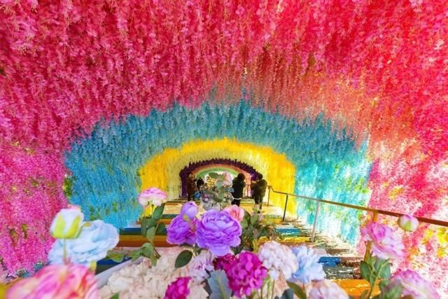 整整4个月！门票免费送！重庆这个私藏的避暑天堂，端午去正好