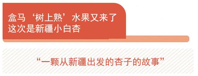 《寻味东莞》解锁“世界工厂”的美食地图，盒