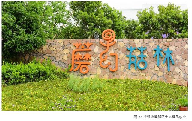 超适合周末自驾游的地方，说走就走