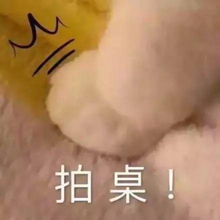 乳房只要大就好看？你的审美可能有误区啦