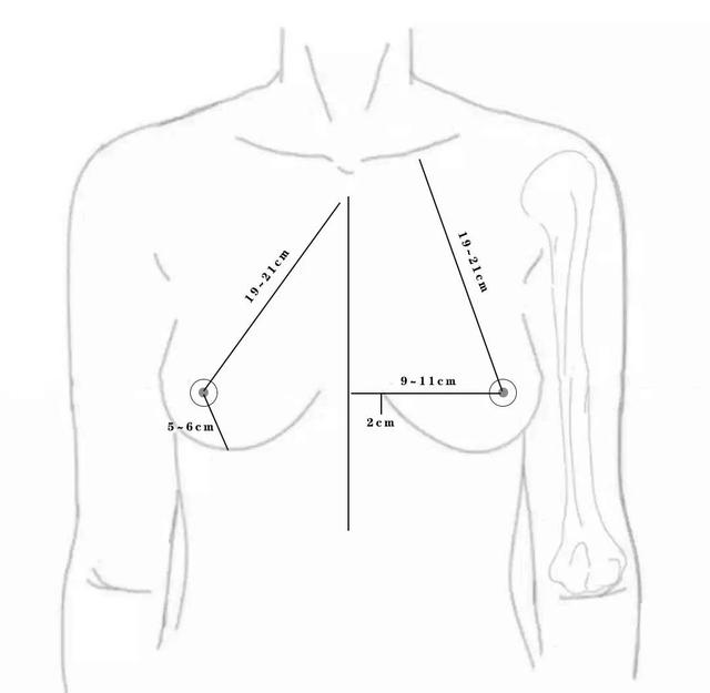 乳房只要大就好看？你的审美可能有误区啦