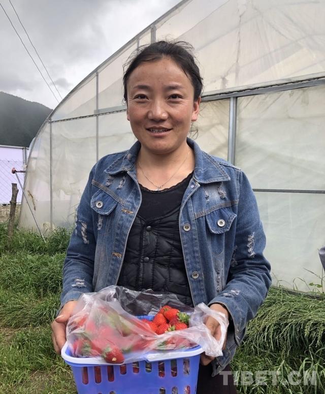 走进“藏地江南”：领略生态林芝，感受幸福生活