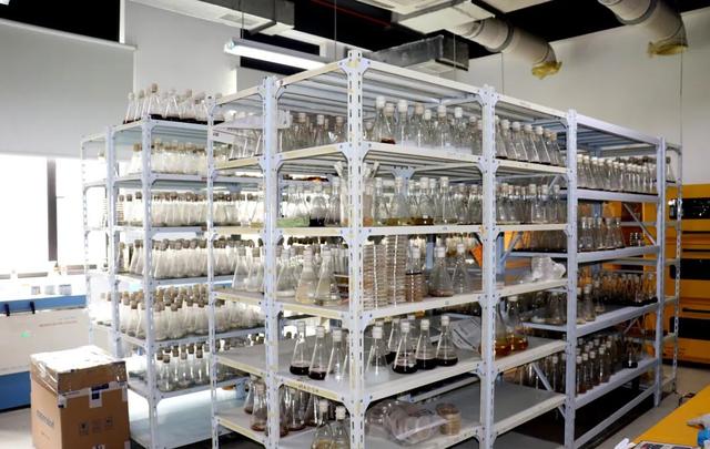 研究生招生 | 浙江大学海洋学院海洋生物与药物研究所