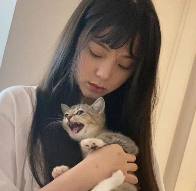 欧阳娜娜抱奶猫玩耍温馨有爱 被拨乱头发笑容宠