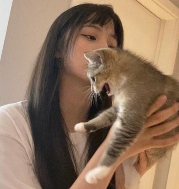 欧阳娜娜抱奶猫玩耍温馨有爱 被拨乱头发笑容宠