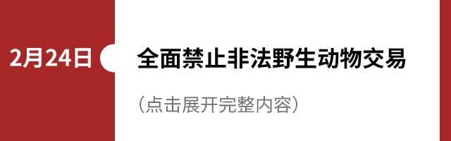 高考冲鸭！超有用的高分秘籍来了