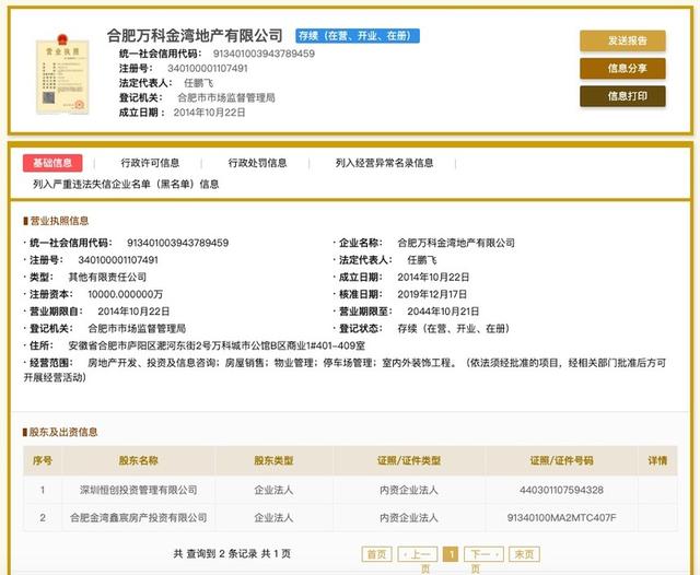 万科与平安不动产的合肥万科金湾地产公司遭罚：涉项目未竣工验收投入使用