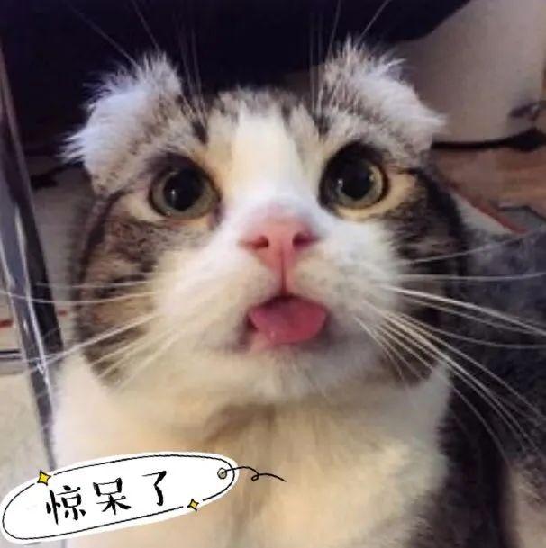 有梦就要追！剧透《全民综艺大舞台》哥哥姐姐