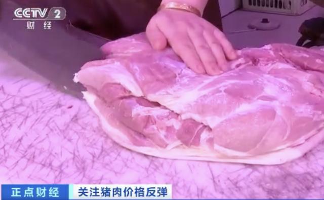 突然！猪肉价格反弹！一公斤涨近7元，接下来怎么走？