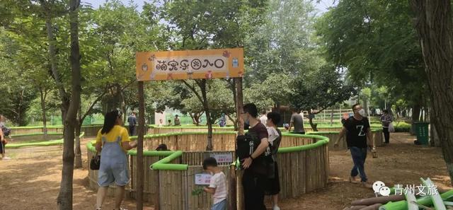 一直不知道，青州这里竟有上百种动物！