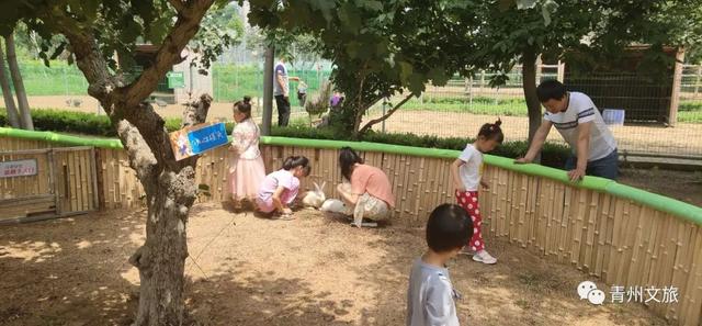 一直不知道，青州这里竟有上百种动物！