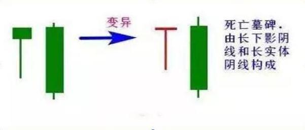 巴菲特的投资理念：10年前买入5万元的华东医药作长线布局，持有到现在赚多少？盆满钵满