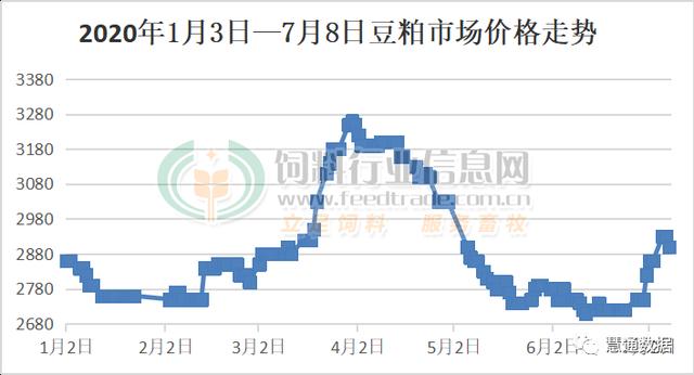 豆粕持续追涨梦碎 但抗跌能力较强