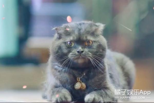 还记得《最好的我们》里面的韩叙吗？他现在长这样