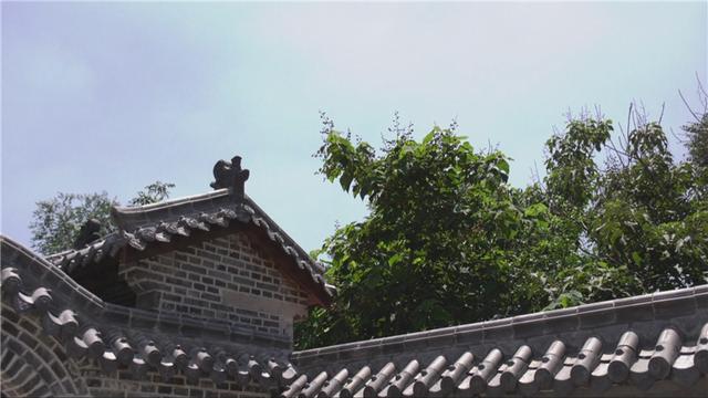潍坊青州市：西坡幽深林密处 吾心归来是故乡