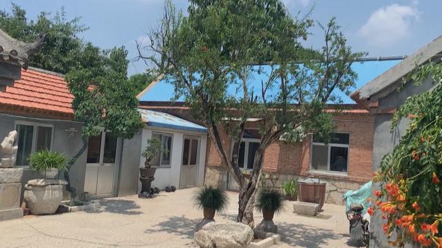 潍坊青州市：半亩芳田百花开 书香门第翰墨缘