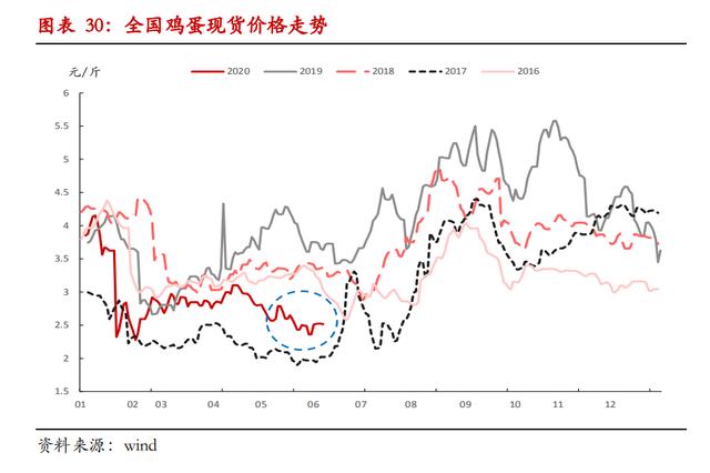 产能规模去化延后，鸡蛋现价三季度难有大幅反弹