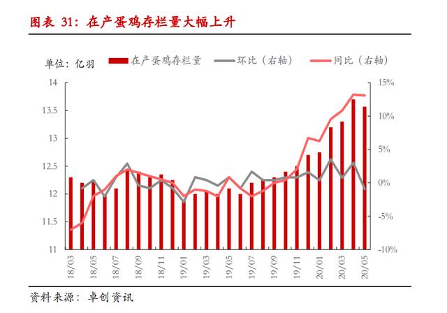 产能规模去化延后，鸡蛋现价三季度难有大幅反弹