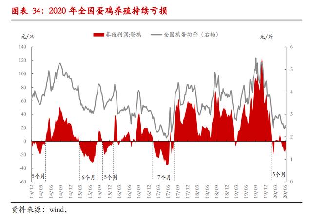 产能规模去化延后，鸡蛋现价三季度难有大幅反弹