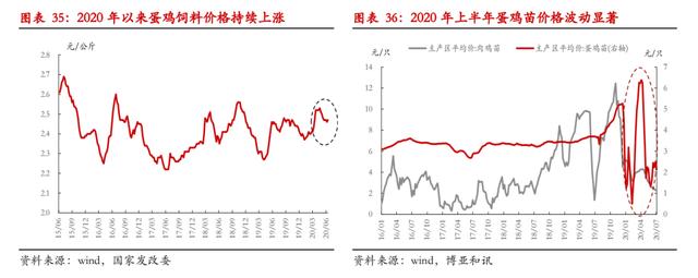 产能规模去化延后，鸡蛋现价三季度难有大幅反弹
