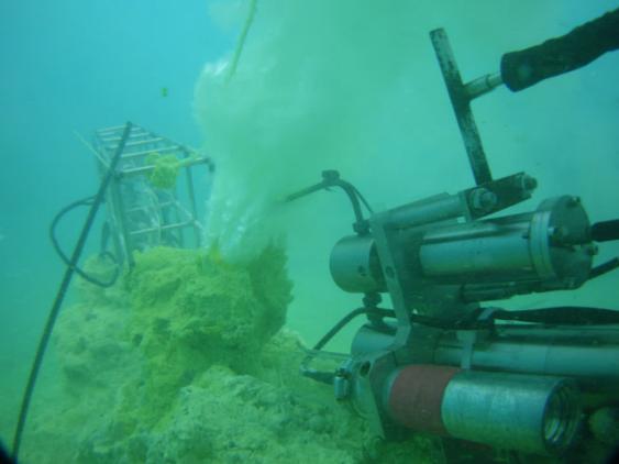 研究生招生 | 浙江大学海洋学院海洋地质与资源研究所