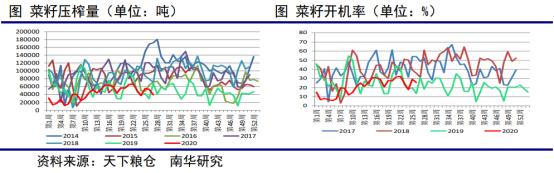 继续突破！菜油多头无敌手？