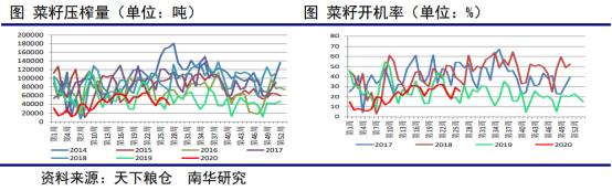 继续突破！菜油多头无敌手？