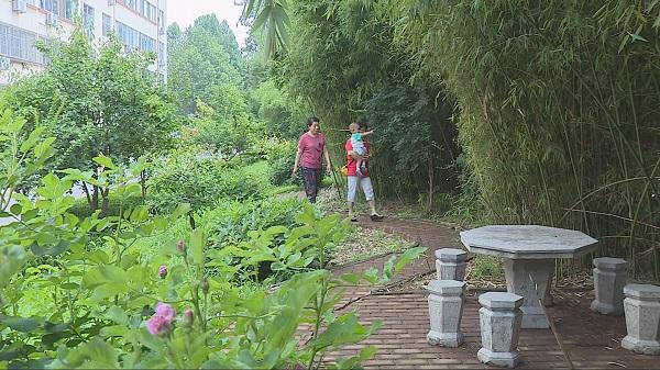 52秒 | 潍坊青州市：创建文明城市 建设美好家园